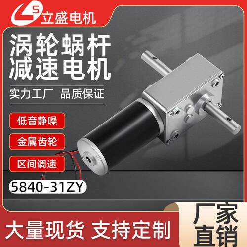 5840-31ZY微型直流减速电机涡轮蜗杆低速调速小马达12v24v双出轴