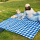 野餐垫防潮垫野外郊游户外露营便携隔水加厚野炊地垫草坪春游垫子