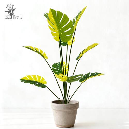 亚马逊仿真植物龟背竹裂口叶北欧风大型盆栽家居客厅装饰景观造景