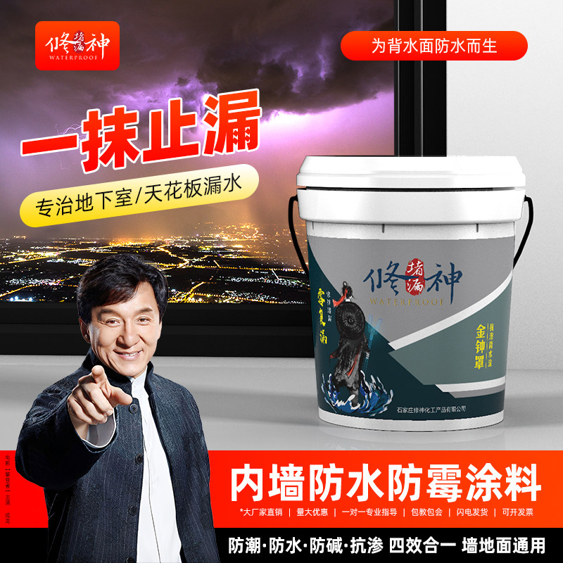 地下室内墙面防潮防霉材料背水面负压防水涂料地面抗渗返碱补漏胶