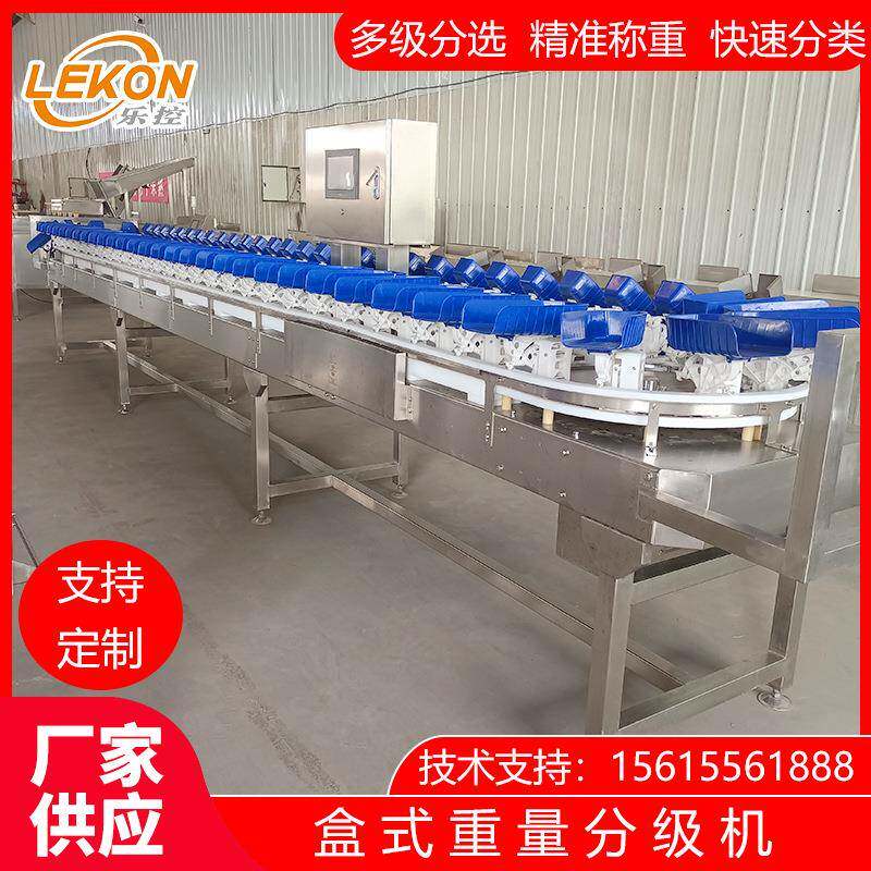 乐控盒式重量分级机白条鸡鸭多级称重分选机禽肉类自动分级秤