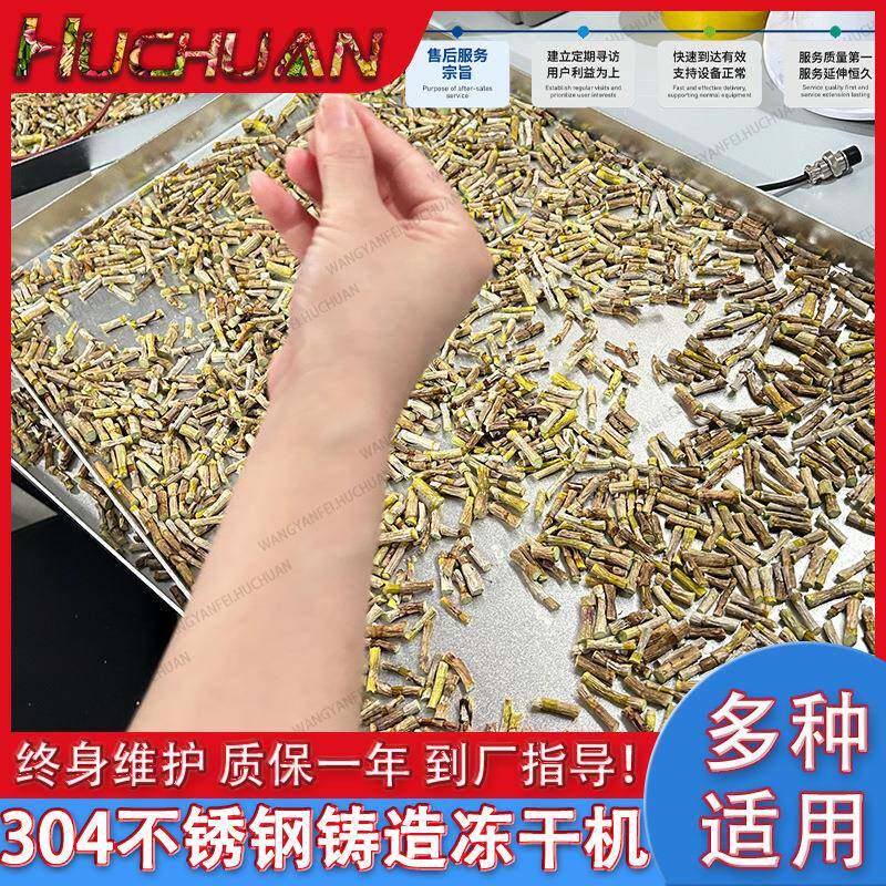 整朵玫瑰花冻干机果蔬食品用脱水冻干机设备草莓真空冷冻干燥机