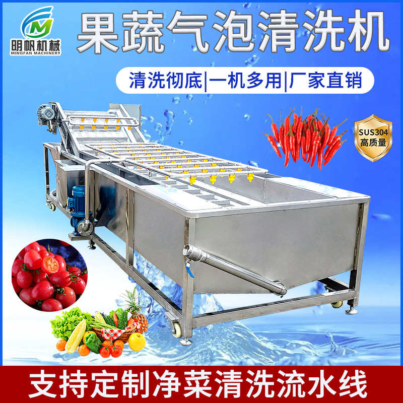 全自动西红柿番茄果蔬气泡清洗机 圣女果清洗机设备 千禧果清洗机
