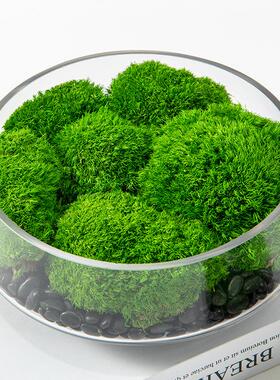 现代透明玻璃花瓶花器永生绿植盆景餐桌洽谈桌卧室装饰摆
