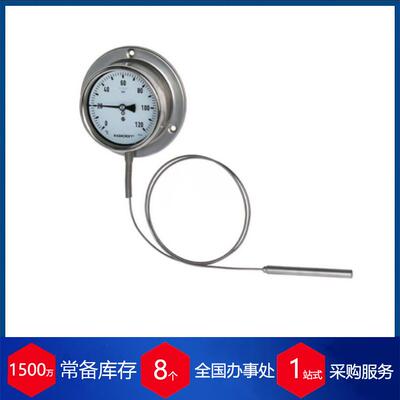 优势供应德国压力表S5500