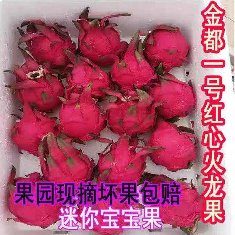 迷你金都一号红心火龙果小个广西红绣球火龙果5斤新鲜孕妇水果10