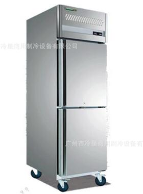 冰箱商用双门立式大容量风冷无霜急冻冰柜冷藏冷冻柜插盘速冻机