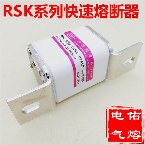 快速熔断器RSK 2000A 2400A 2600A 2800A 3000A 3200A 3600A-12PK