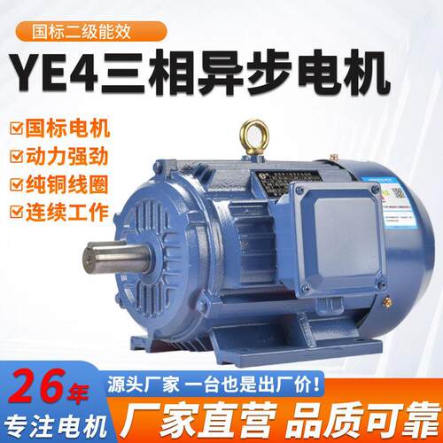 YE4/380V三相异步马达大功率纯铜国标节能