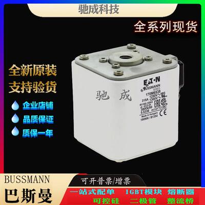 巴斯曼170M6524 170M6534 170M6538 厂价直销批零兼营 快熔保险丝