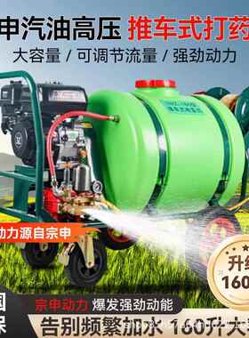手推式打药机100L160L高压喷灌植保农用汽油动力喷雾器打药车
