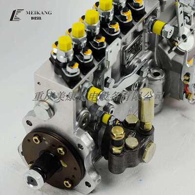 中国重汽重庆燃油喷射系统 CB6P314 玉柴6A260 配套燃油泵