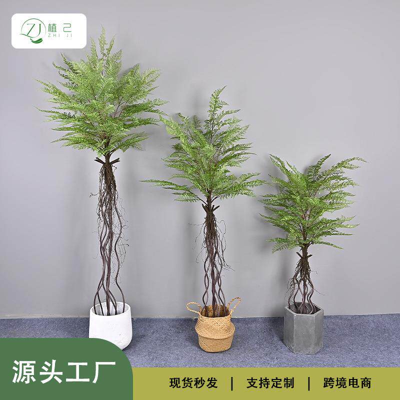 仿真黑骨芒蕨树家居软装造景商场橱窗工程源头厂家一件黑骨芒