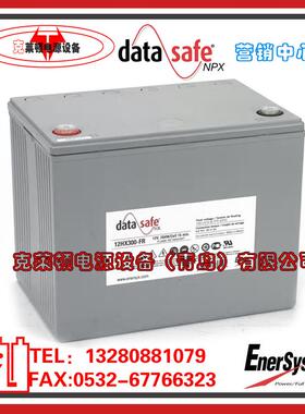 DataSafe艾诺斯蓄电池12HX300-FR/12V284W机房电源数据中心蓄电池