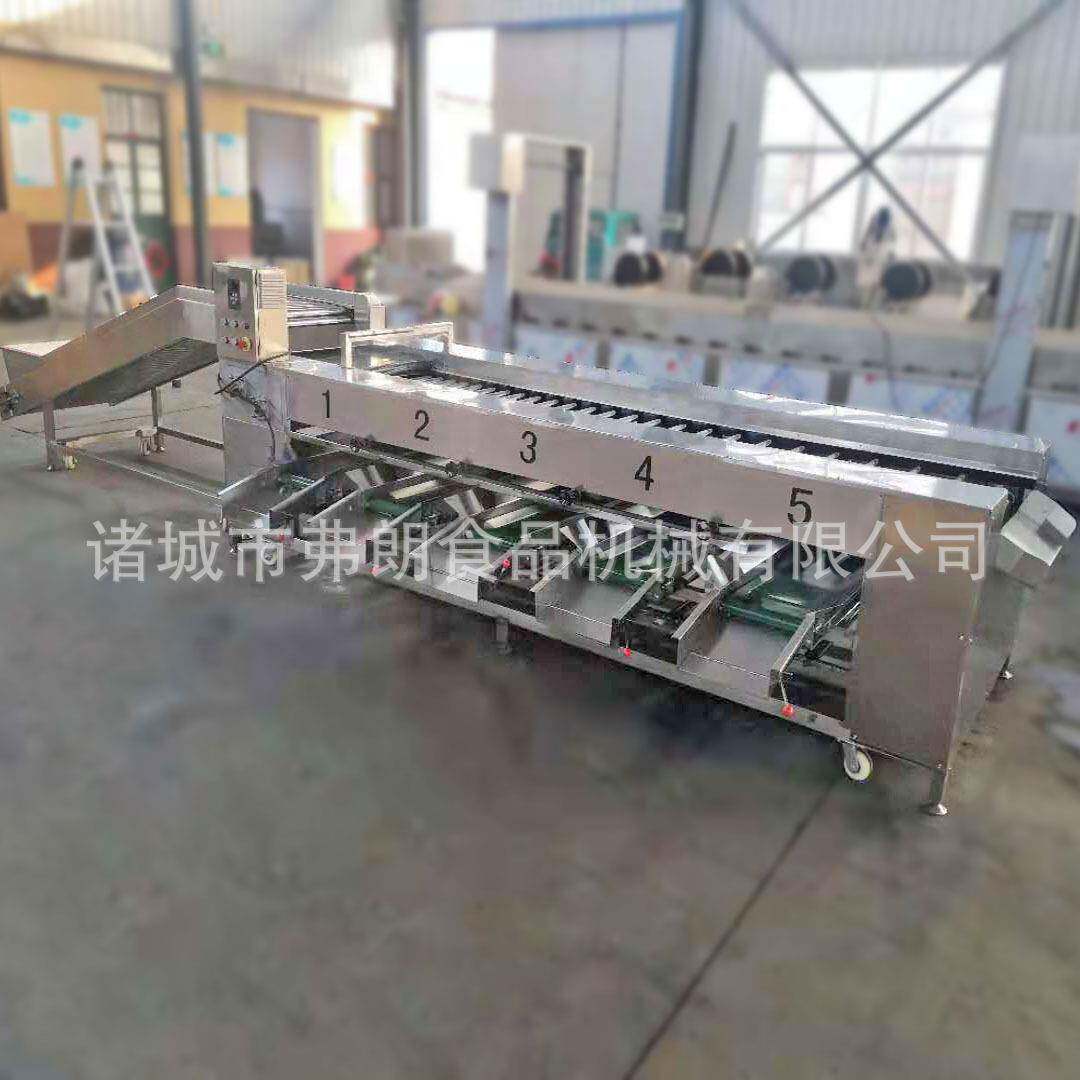 蜜桔蜜橙分级机赣南脐橙分级机水果大小分选设备柠檬分级机