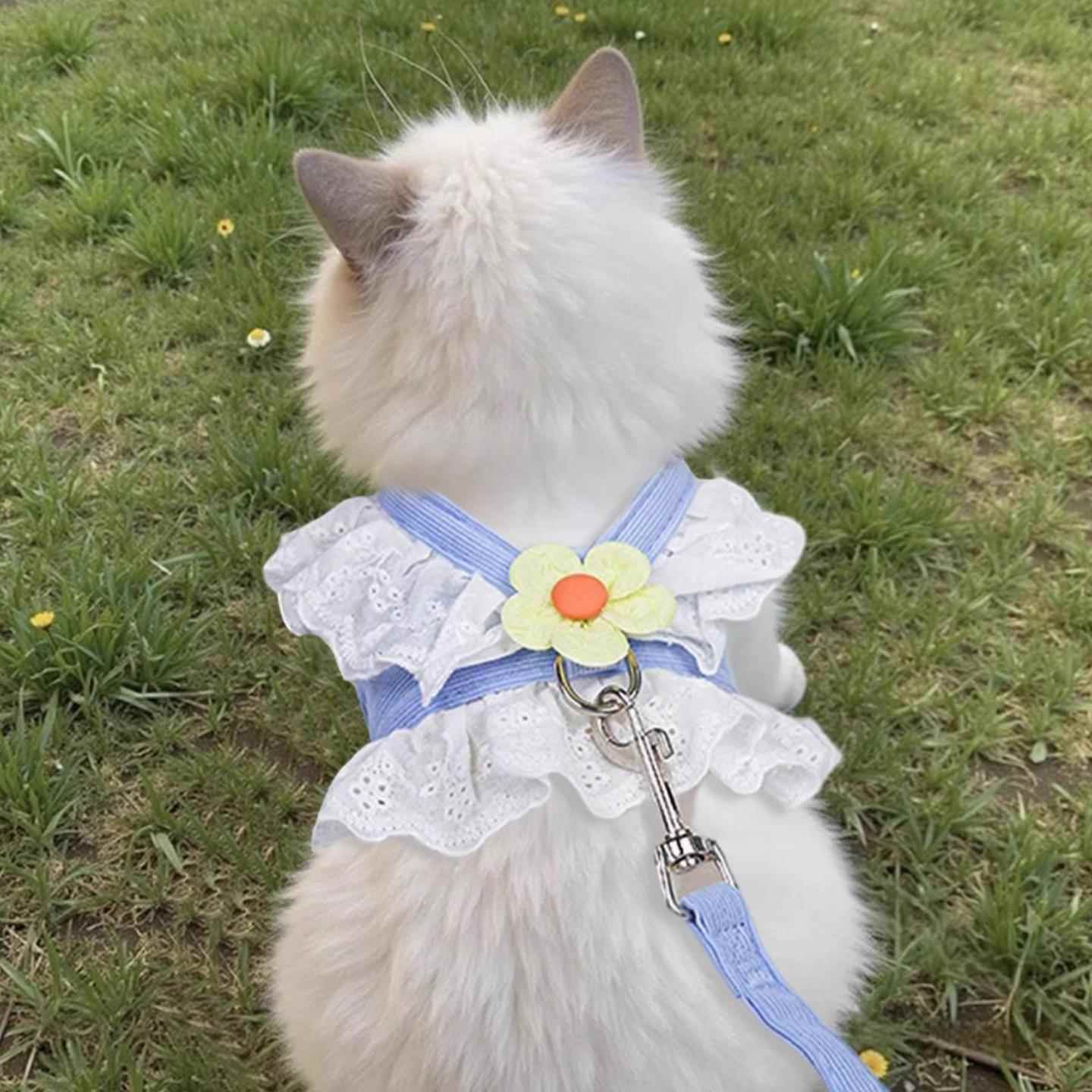 猫咪牵引绳胸抱婴袋JK公主裙子可调节防挣脱宠物狗狗牵引绳外出专