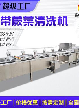 厂家供应不锈钢海藻海蜇清洗机海带扣龙须菜清洗设备海带清洗机