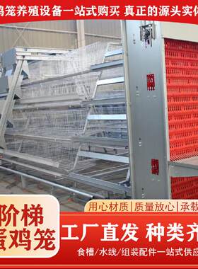 全自动化蛋鸡笼养殖场加背负式喂料机捡蛋机自动集蛋自动喂料系统
