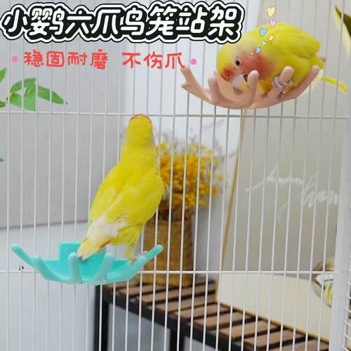 小太阳鹦鹉鸟笼鸟笼虎皮造景装饰