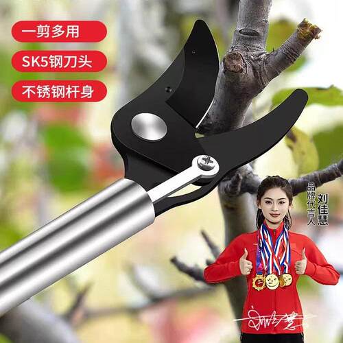 德国精工高枝剪伸缩高空剪树枝专用剪刀果树园艺剪加长sk5不锈钢