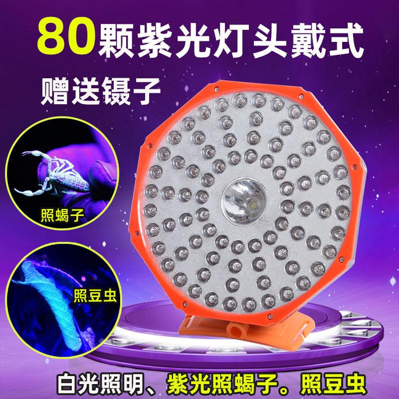 蝎子灯紫光灯照蝎子专用头戴式充电大功率强光紫光灯验钞照豆虫灯