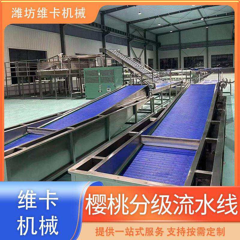 大型车樱桃分选机金桔金桔清洗分选线小柿子风干清洗线