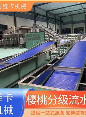 大型车樱桃分选机金桔金桔清洗分选线小柿子风干清洗线