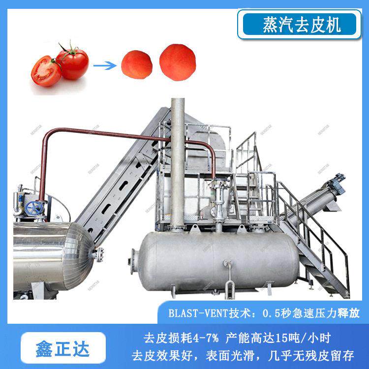 大型土豆蒸汽去皮机柿子剥皮机效率损耗少