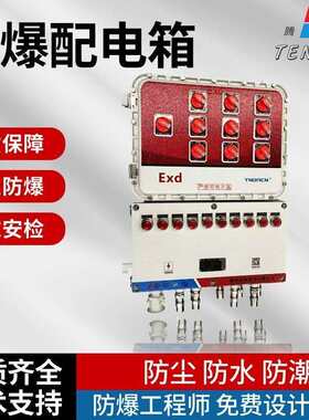 BXM(D)53-6K 回路DZ4763A小型防爆配电箱 防爆非标电气接线箱子