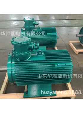 制动电磁YCT-200L1-6-18.5电机个性化YCT电磁电机量体