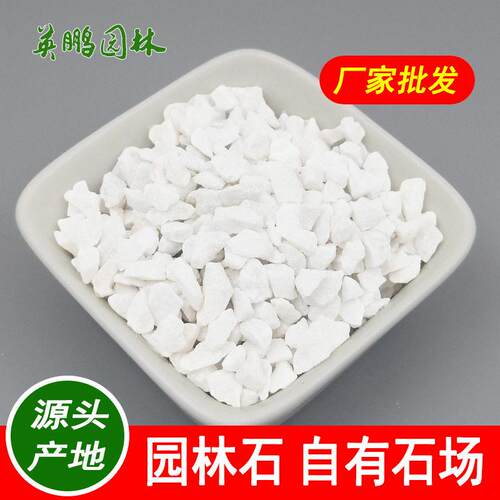 纯白色水洗石子6-9毫米金白砾石广州园林景观用白小碎石