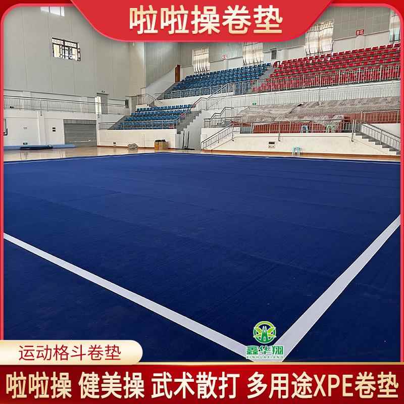 艺术体操垫比赛体操垫子健美操啦啦操卷垫艺术体操地毯啦啦操垫子