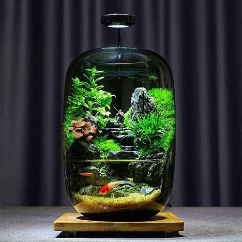 黑神话悟空苔藓微景观流水养鱼缸创意桌面生态瓶摆件造景办公室