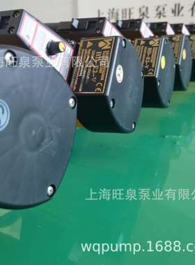 上海旺泉厂家直销HD-E2-V+PPHT-1000HC耐腐蚀塑料桶泵、电动桶泵