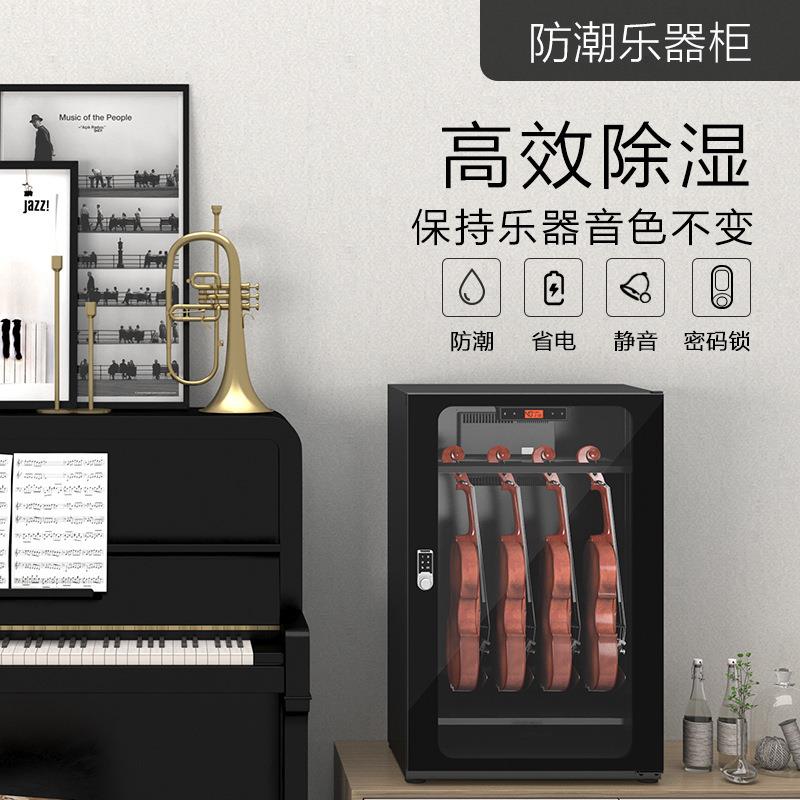 LENTHEM领顿防潮乐器柜229 加厚钢制小提琴除湿柜 带密码锁干燥箱