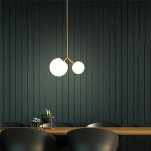 创意北欧床头玻璃圆球吊灯个性 店吊灯1061 双头大小魔豆餐厅服装