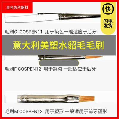 牙科意大利美塑牙用充填器 貂毛笔 毛刷 树脂修复塑形工具