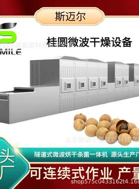 自动谷物杂粮微波熟化烘干设备连续式桂圆微波干燥烘干设备