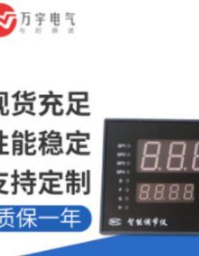 SLRB1217124PAH 智能数显控制仪