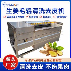全自动毛辊清洗机生姜土豆根茎类毛刷清洗去杂设备商用果蔬清洗机