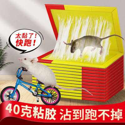 粘鼠板强力胶粘大老鼠捕鼠神器老鼠贴沾胶抓鼠灭鼠粘鼠毯家用正品