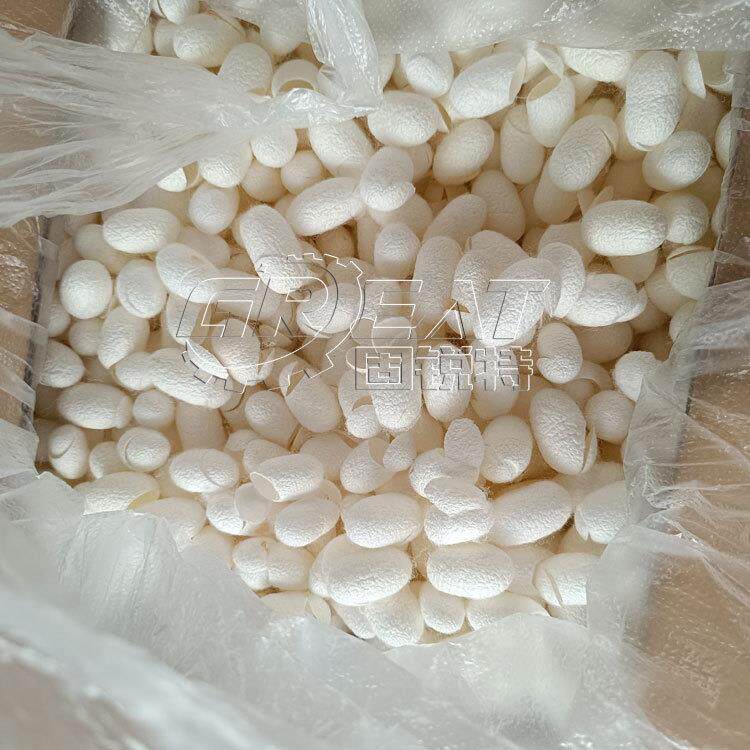 蚕茧蝉蜕粉碎机蝉衣蝉壳打碎机虫蜕破碎机虫干粉碎机