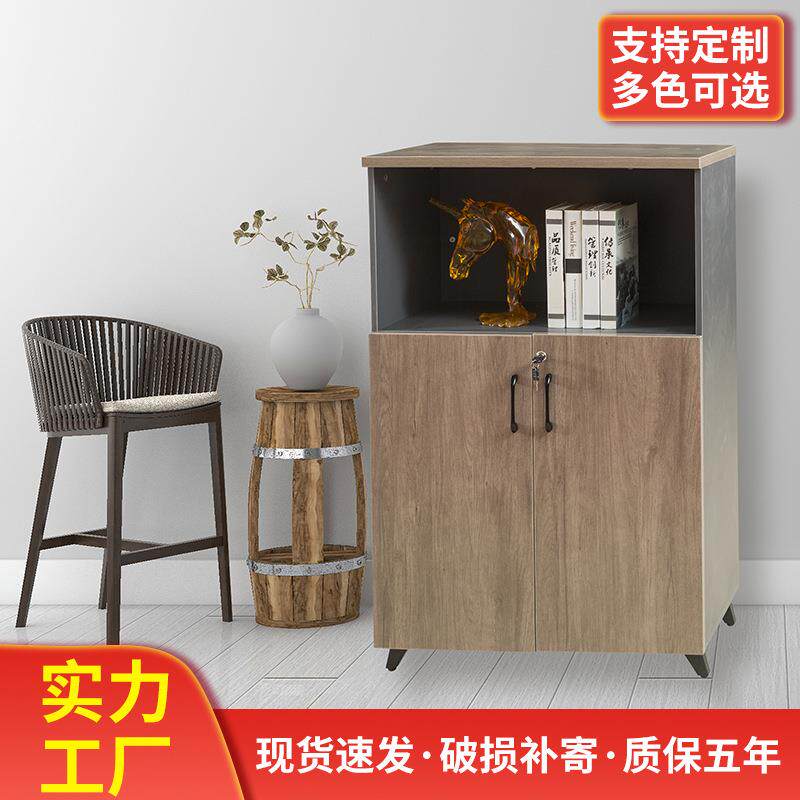 多功能文件柜办公家具档案柜落地柜双门资料柜