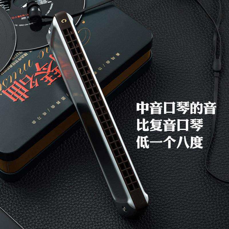 孔声24孔中音口琴C#调进口音簧成人乐队半音阶乐器C调24孔口琴