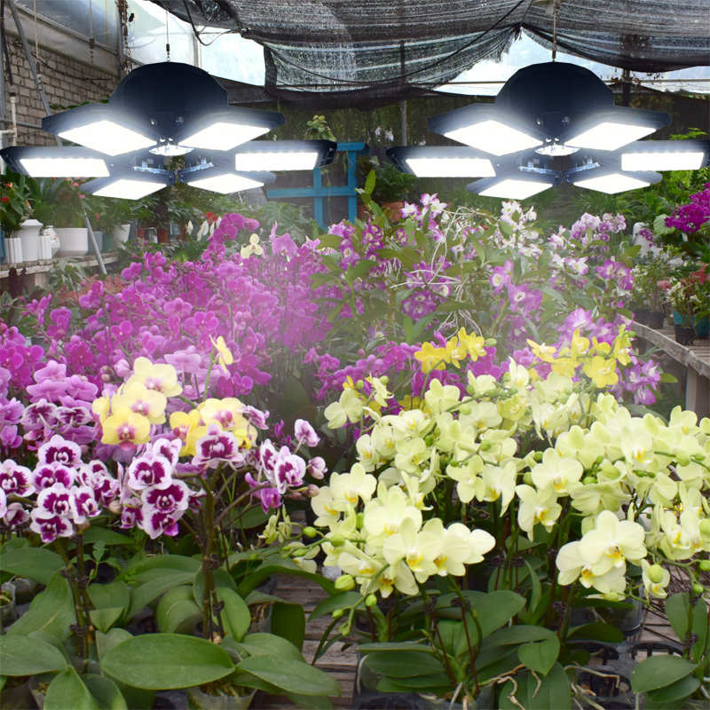 仿太阳光模拟灯全光谱植物补光灯阳台室内养兰花卉月季植物生长灯