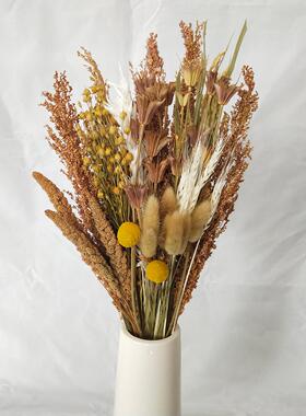 五谷丰登干花花束真花天然风干高粱麦穗稻穗燕麦混搭客厅装饰摆件