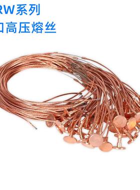 15A 熔丝带扣保险丝10KV 户外RW跌落式熔断器 高压熔丝10KV