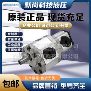 F416 合肥皖液齿轮泵CBQTF E563 F410 AF双联油泵 F550