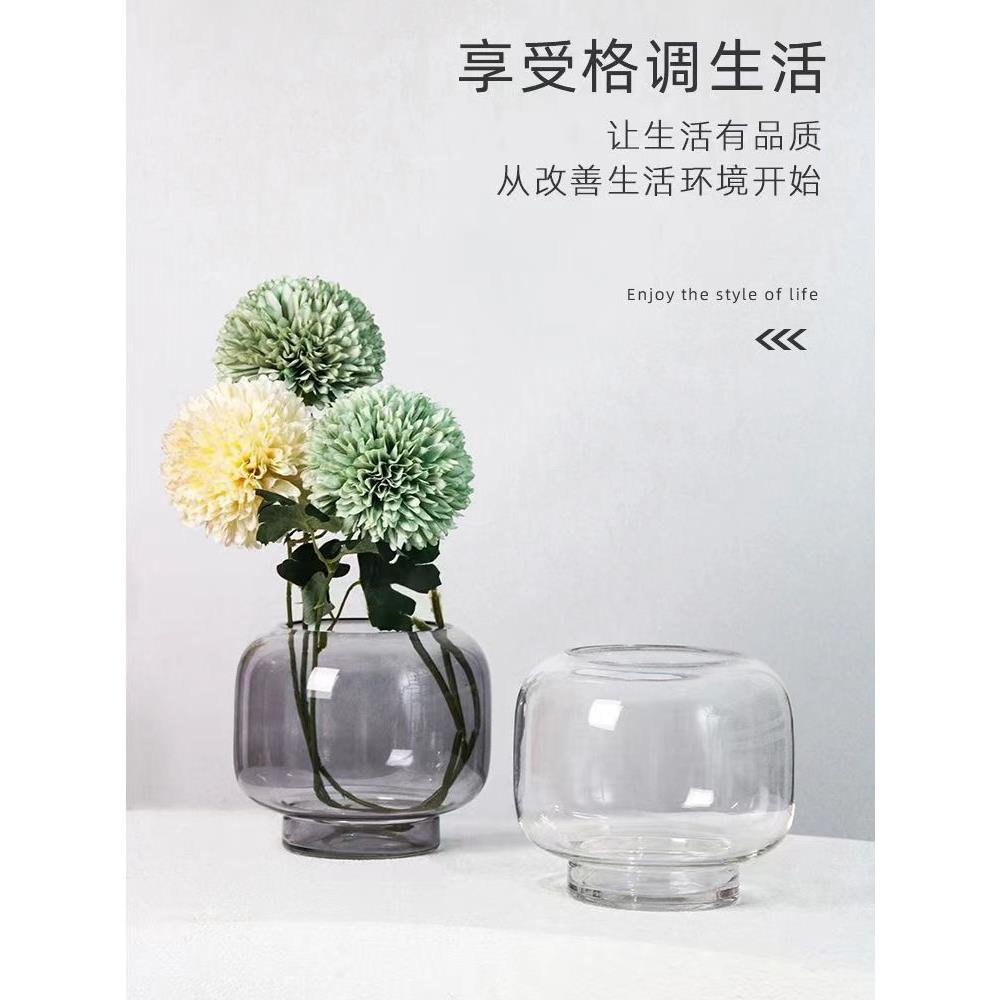 轻奢大肚皮花瓶装饰玻璃透明水养花干花插花客厅桌面鱼缸花盆