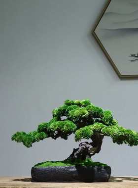 新中式仿真绿植盆景室内迎客松摆件客厅茶室玄关桌面装饰品微景观